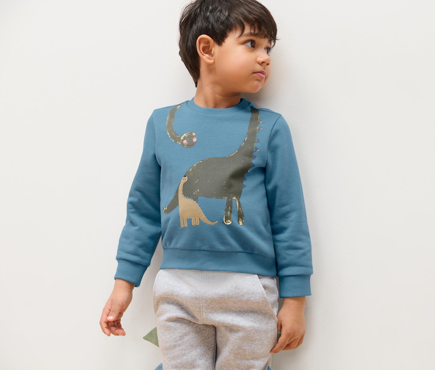 Kinder-Sweater mit Dino-Applikation