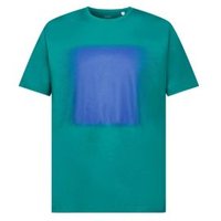 EDC Baumwoll-T-Shirt mit Print (EMERALD GREEN)