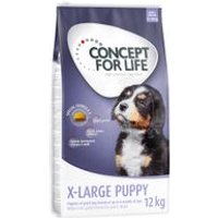10 + 2 kg gratis! 12 kg Concept for Life Hundetrockenfutter - X-Large Puppy