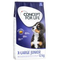 10 + 2 kg gratis! 12 kg Concept for Life Hundetrockenfutter - X-Large Junior