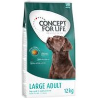10 + 2 kg gratis! 12 kg Concept for Life Hundetrockenfutter - Medium Junior